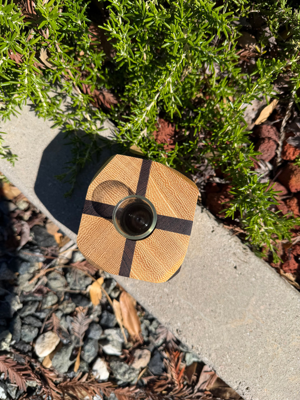 Wood Bud Vase OR Propagation Station