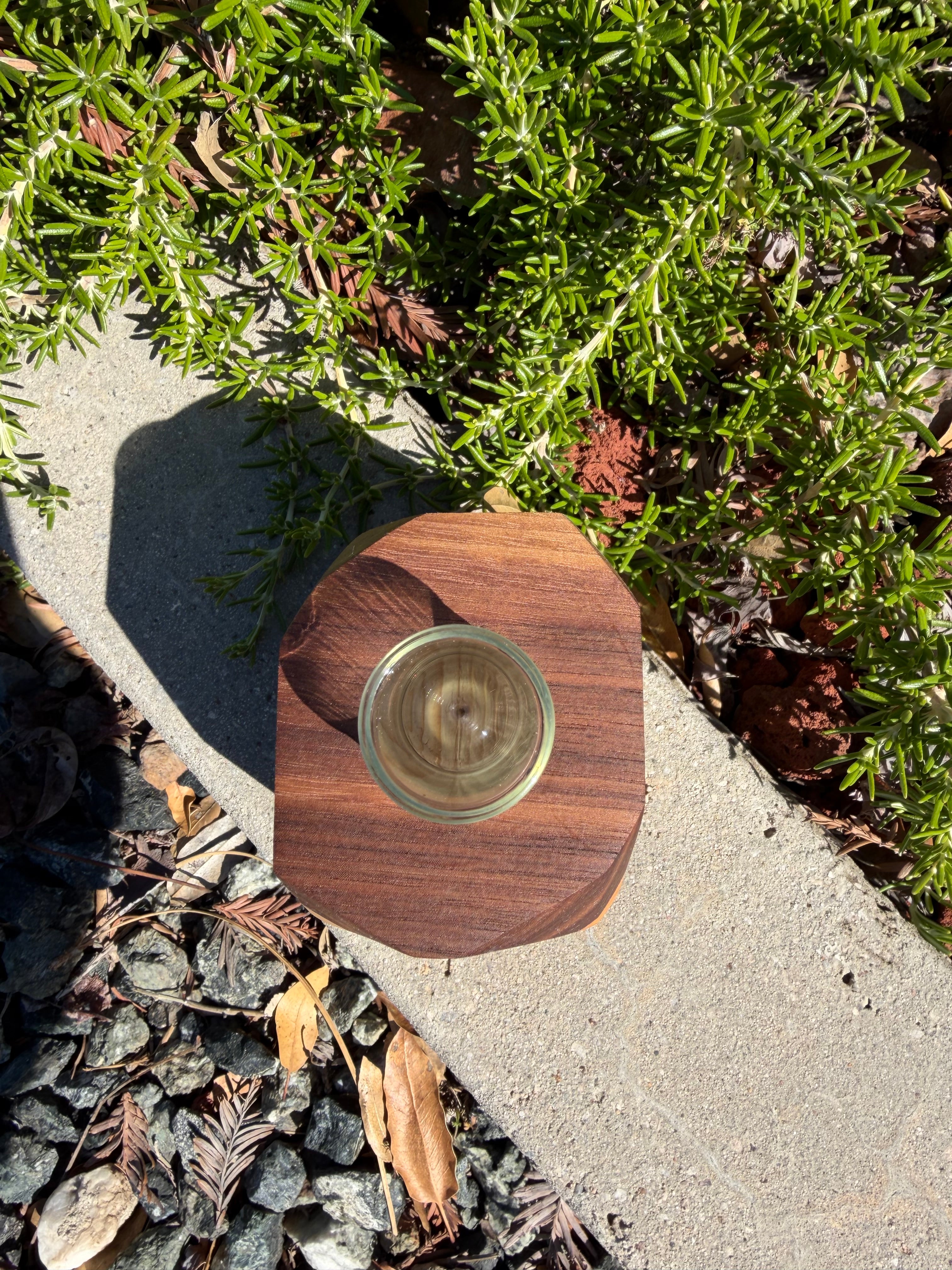 Wood Bud Vase OR Propagation Station