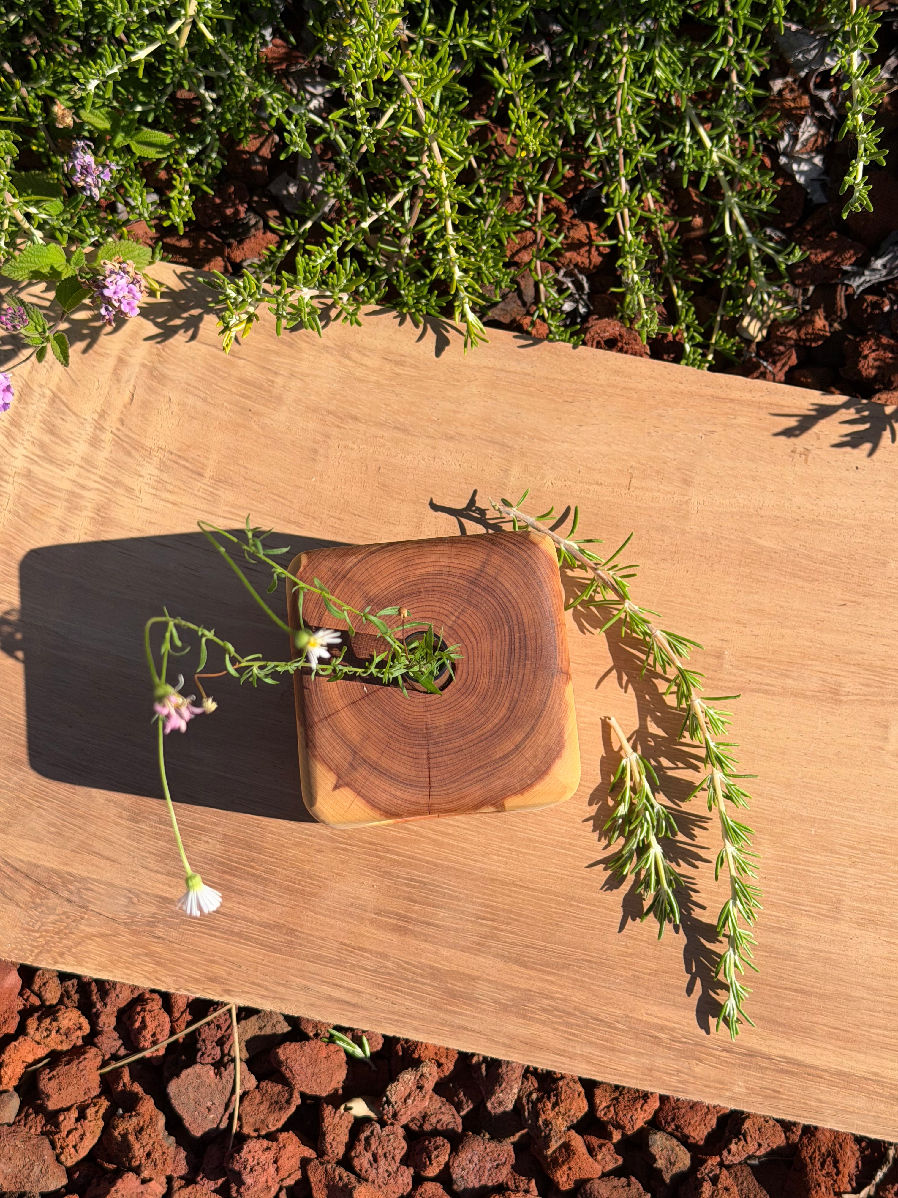 Handcrafted Propagation Station