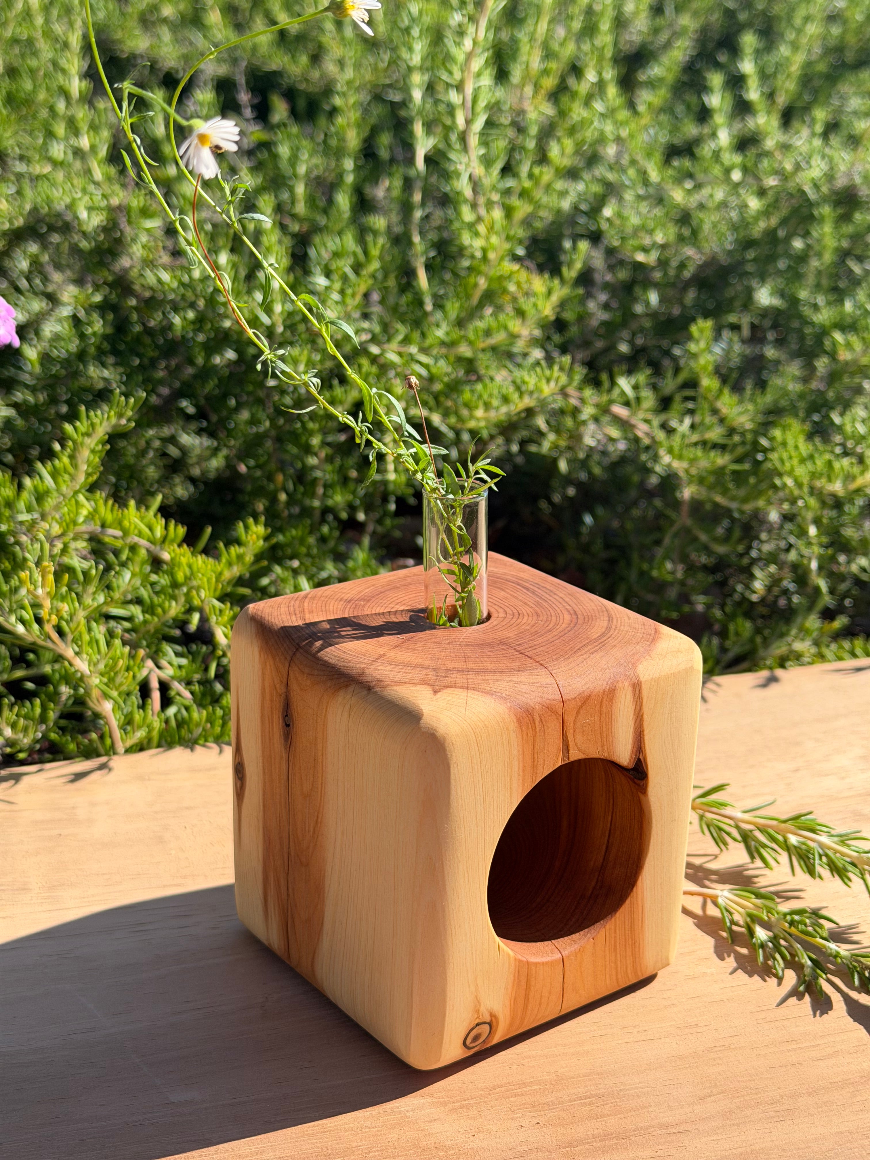 Handcrafted Propagation Station