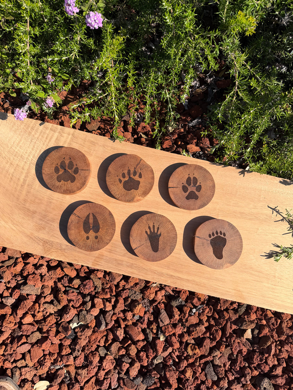 Engraved Hardwood Wildlife Coasters (set of 6)