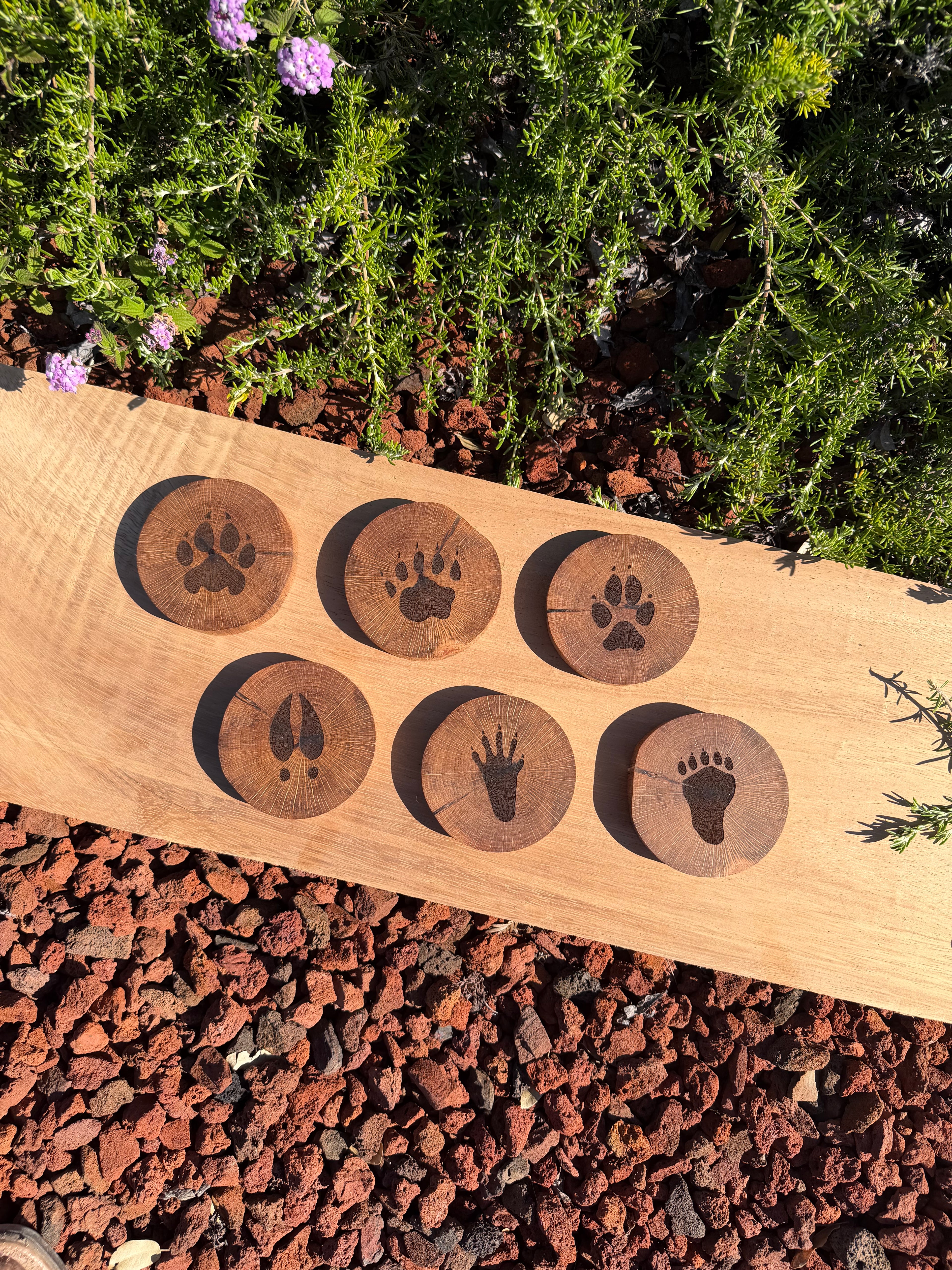 Engraved Hardwood Wildlife Coasters (set of 6)