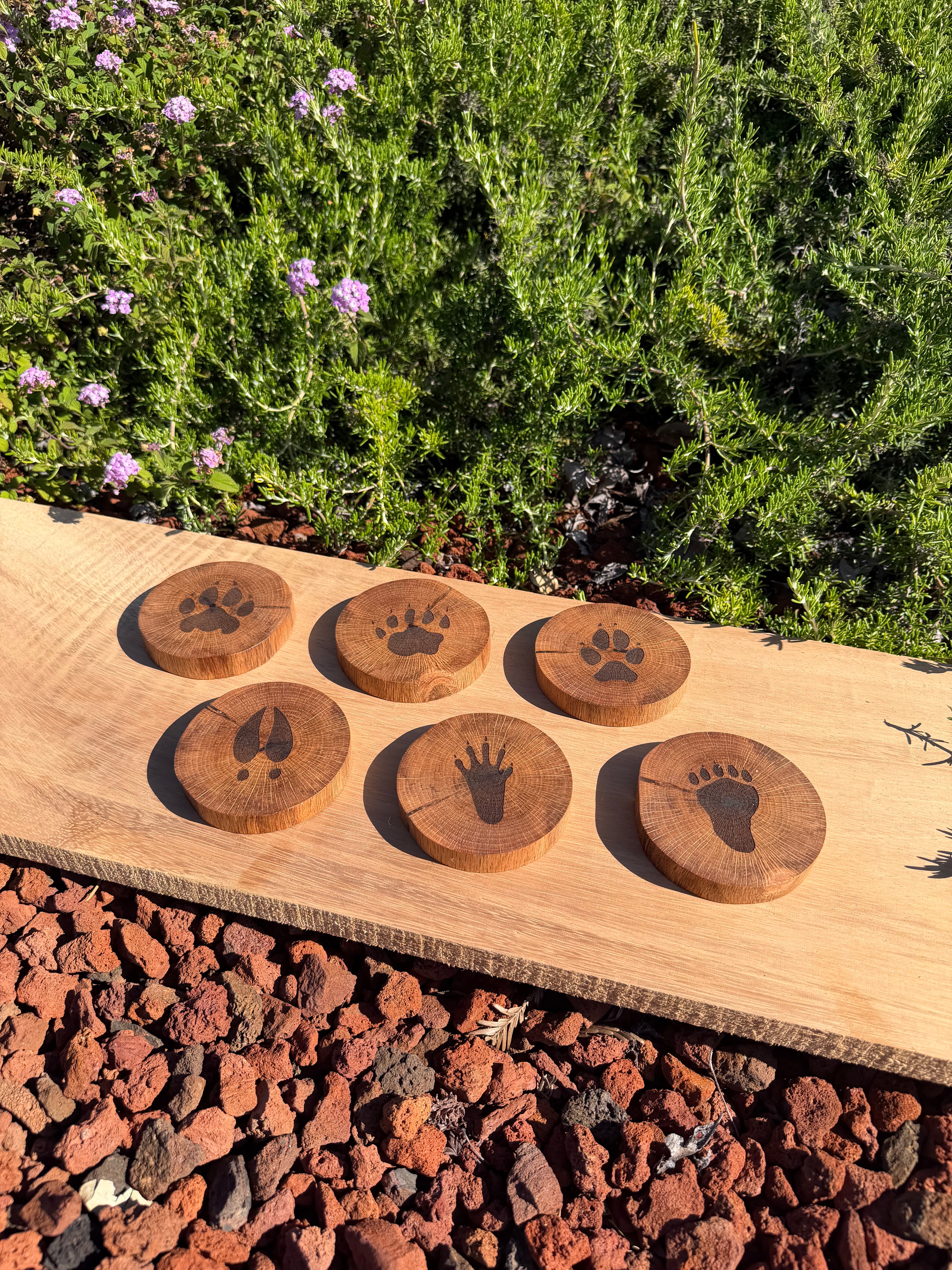 Engraved Hardwood Wildlife Coasters (set of 6)