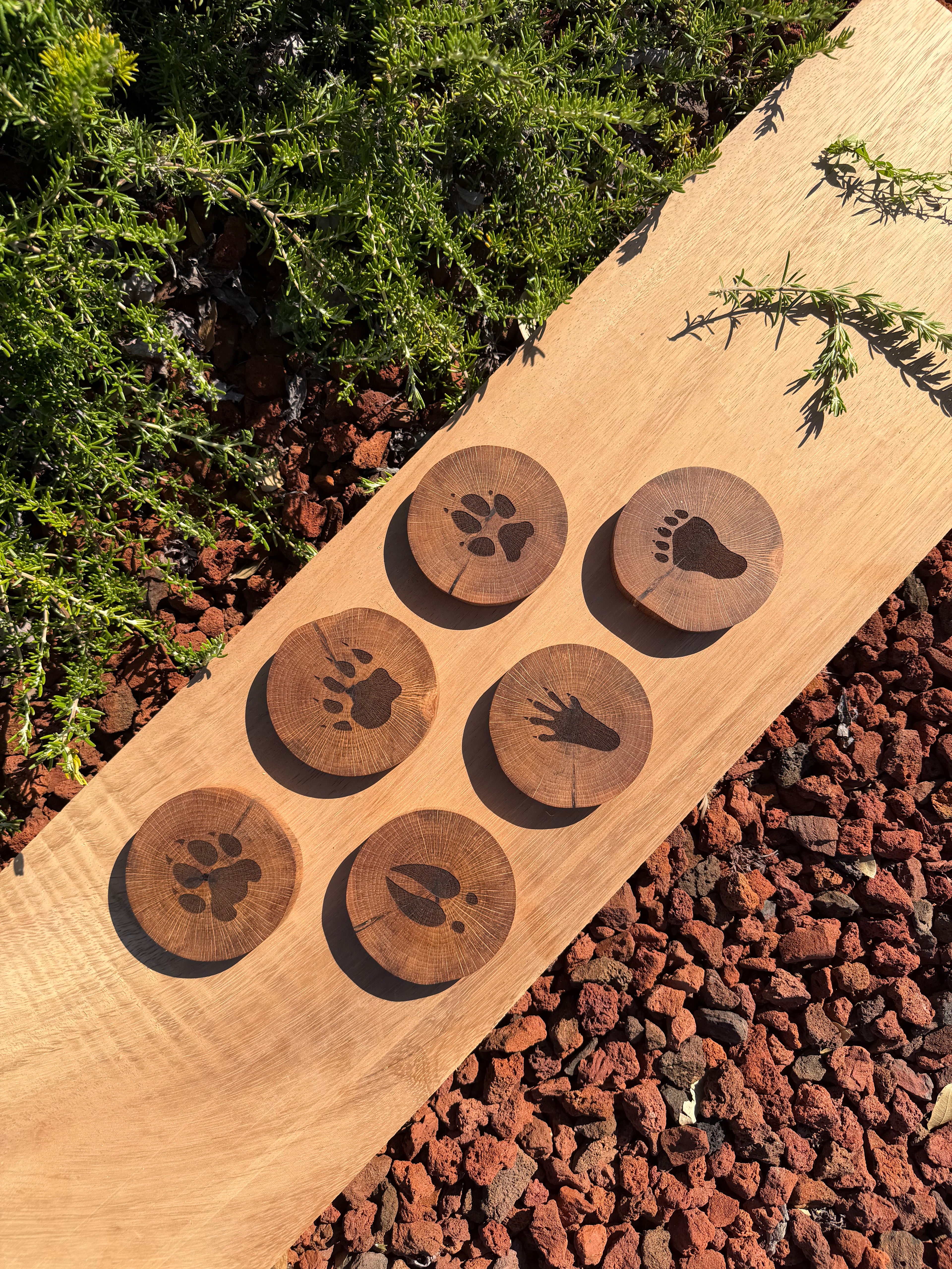 Engraved Hardwood Wildlife Coasters (set of 6)