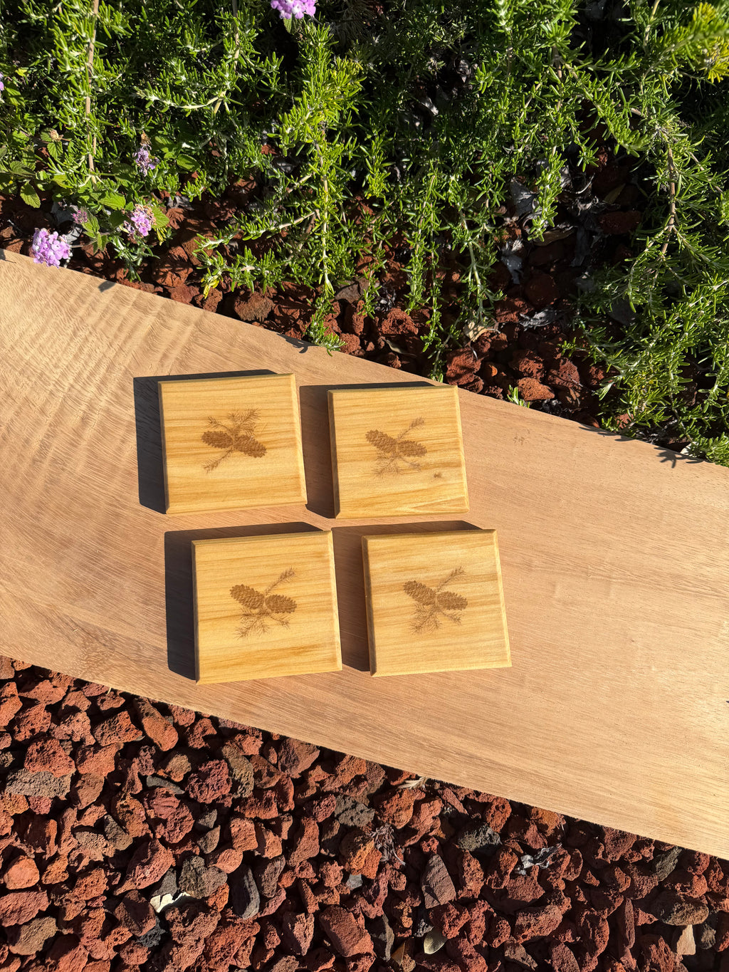 Pinecone Engraved Poplar Coasters