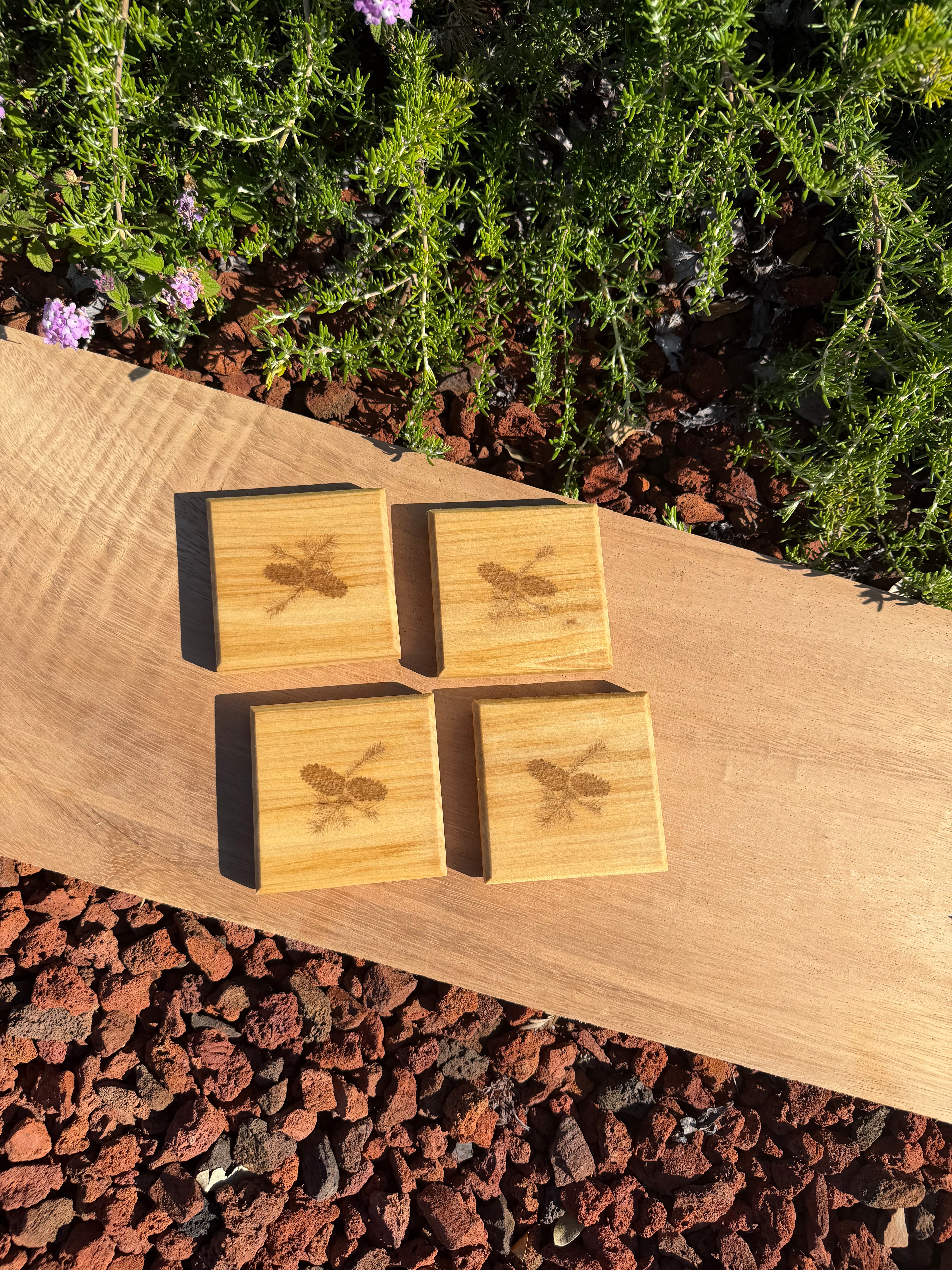Pinecone Engraved Poplar Coasters