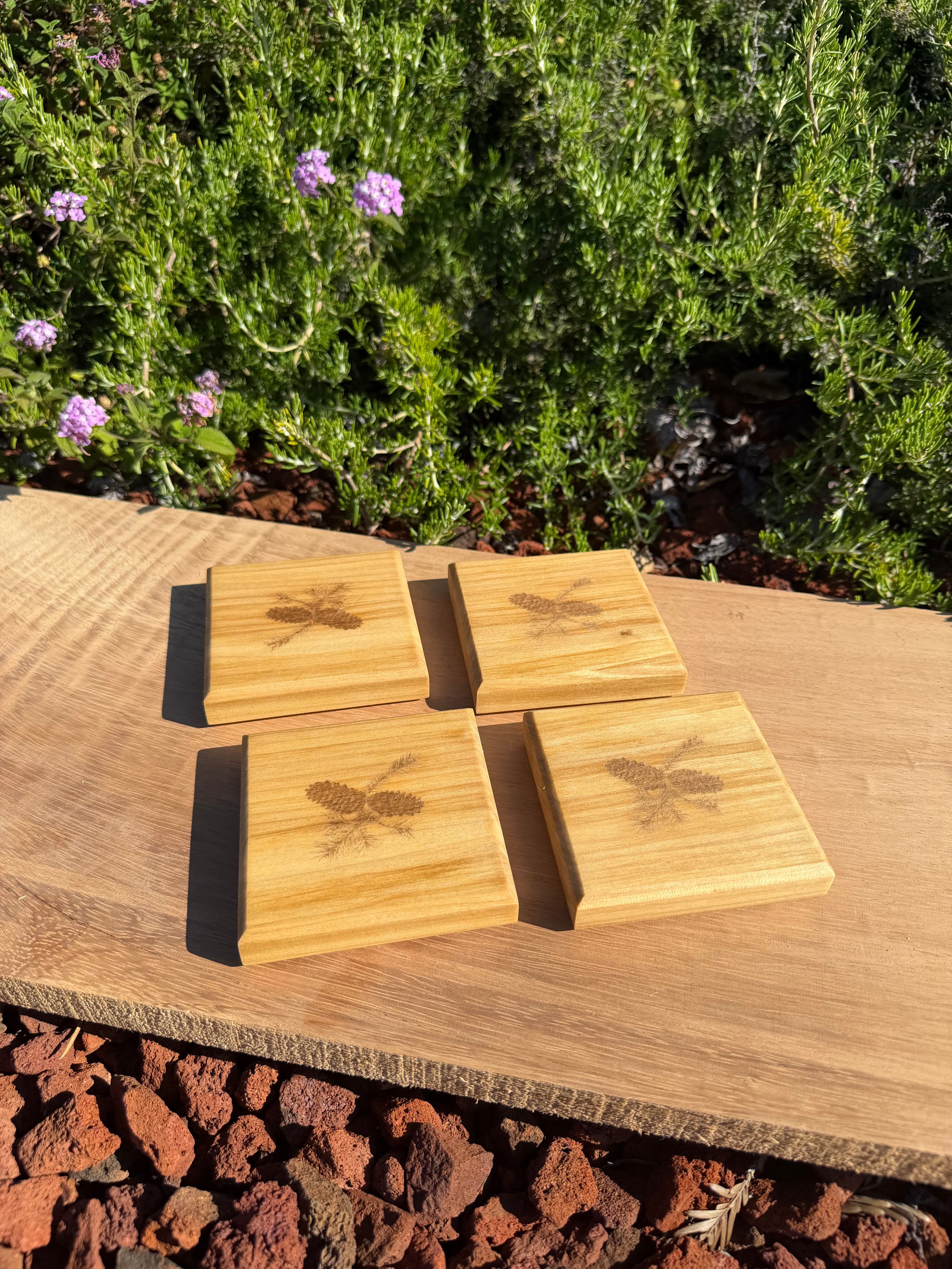 Pinecone Engraved Poplar Coasters