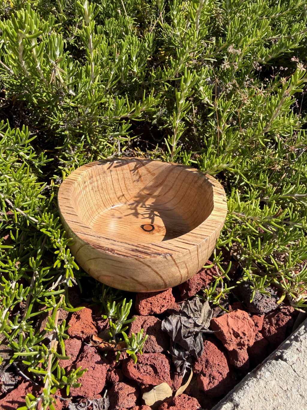 Live-edge Almond Wood Bowl