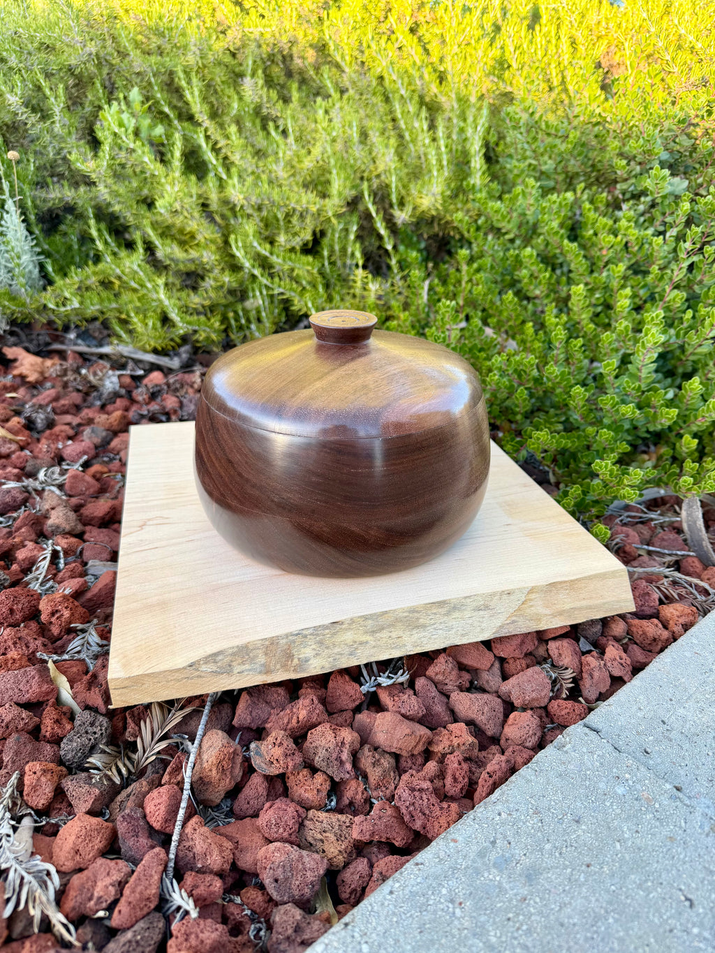 Black Walnut Lidded Bowl