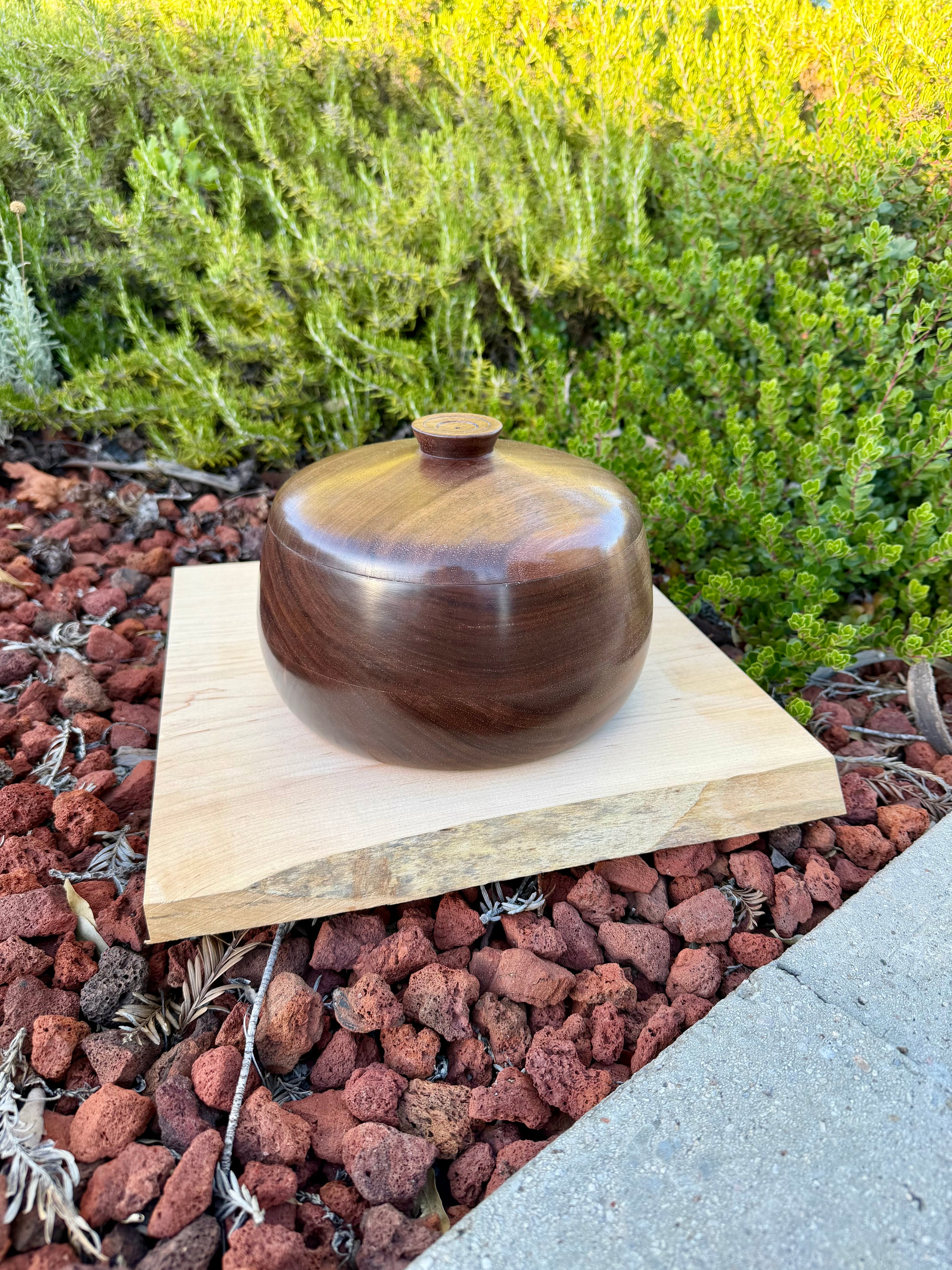 Black Walnut Lidded Bowl