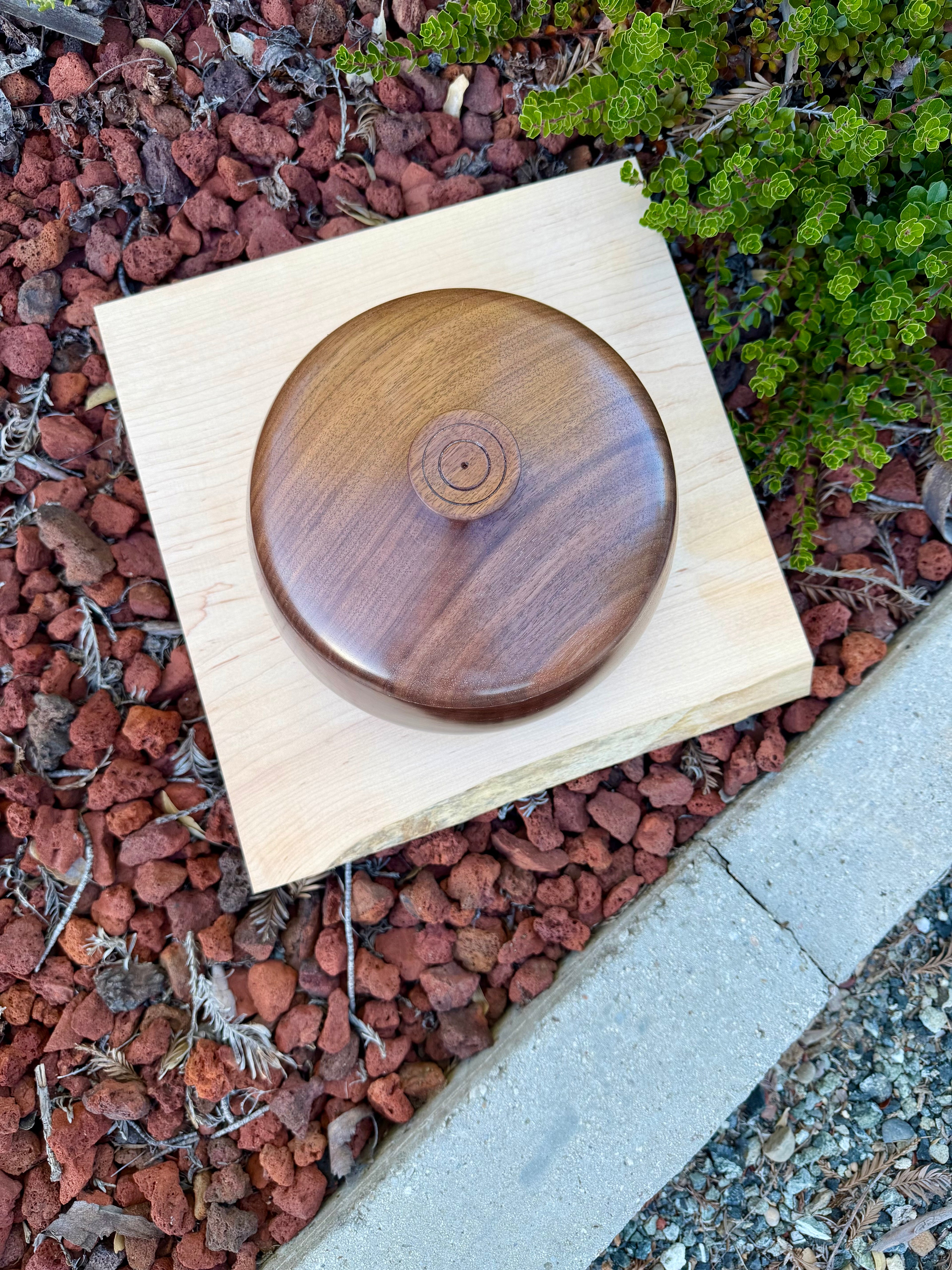 Black Walnut Lidded Bowl