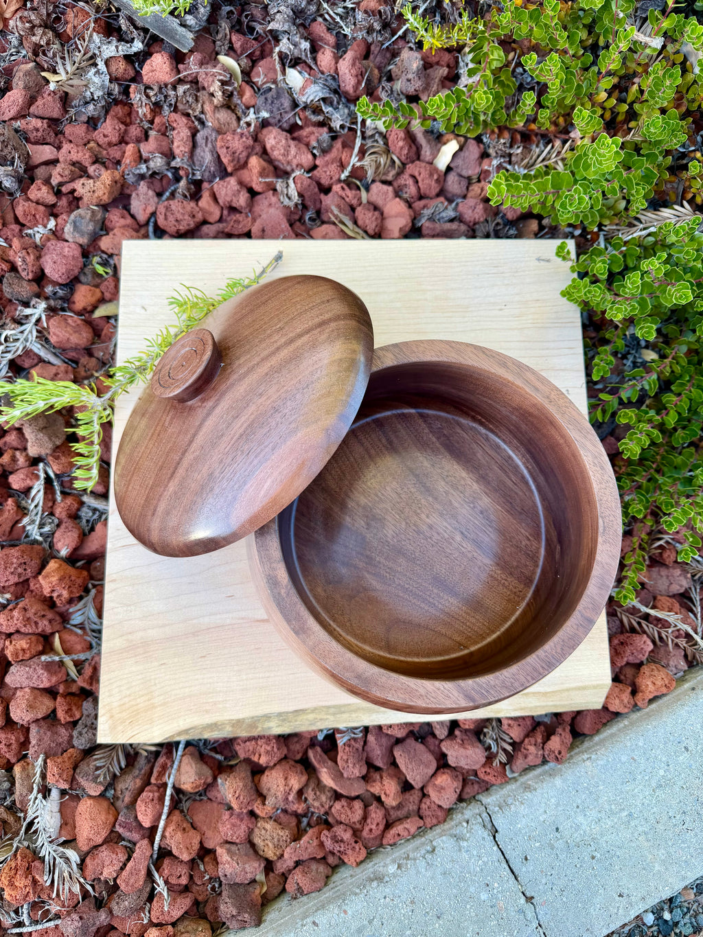 Black Walnut Lidded Bowl