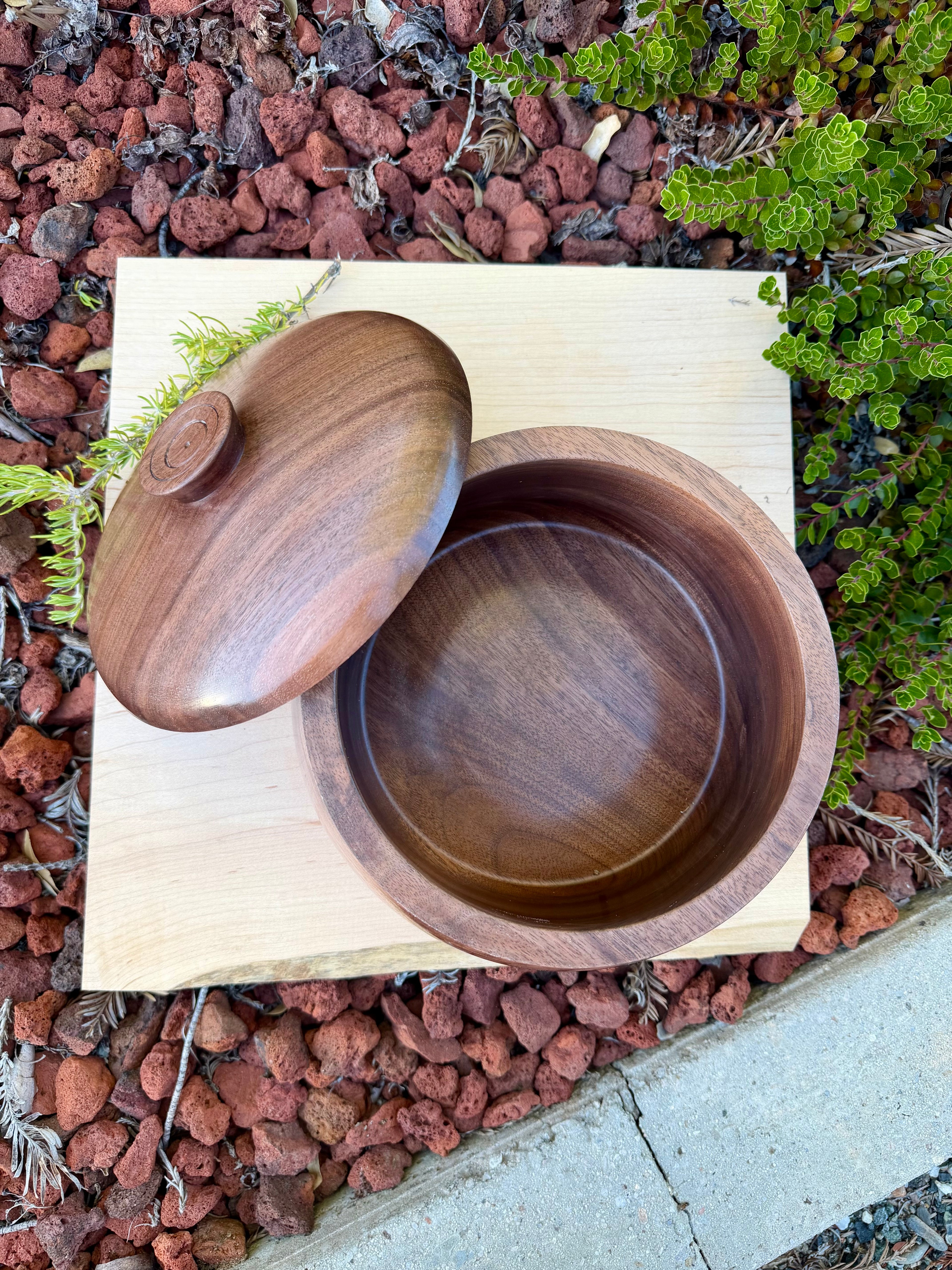 Black Walnut Lidded Bowl