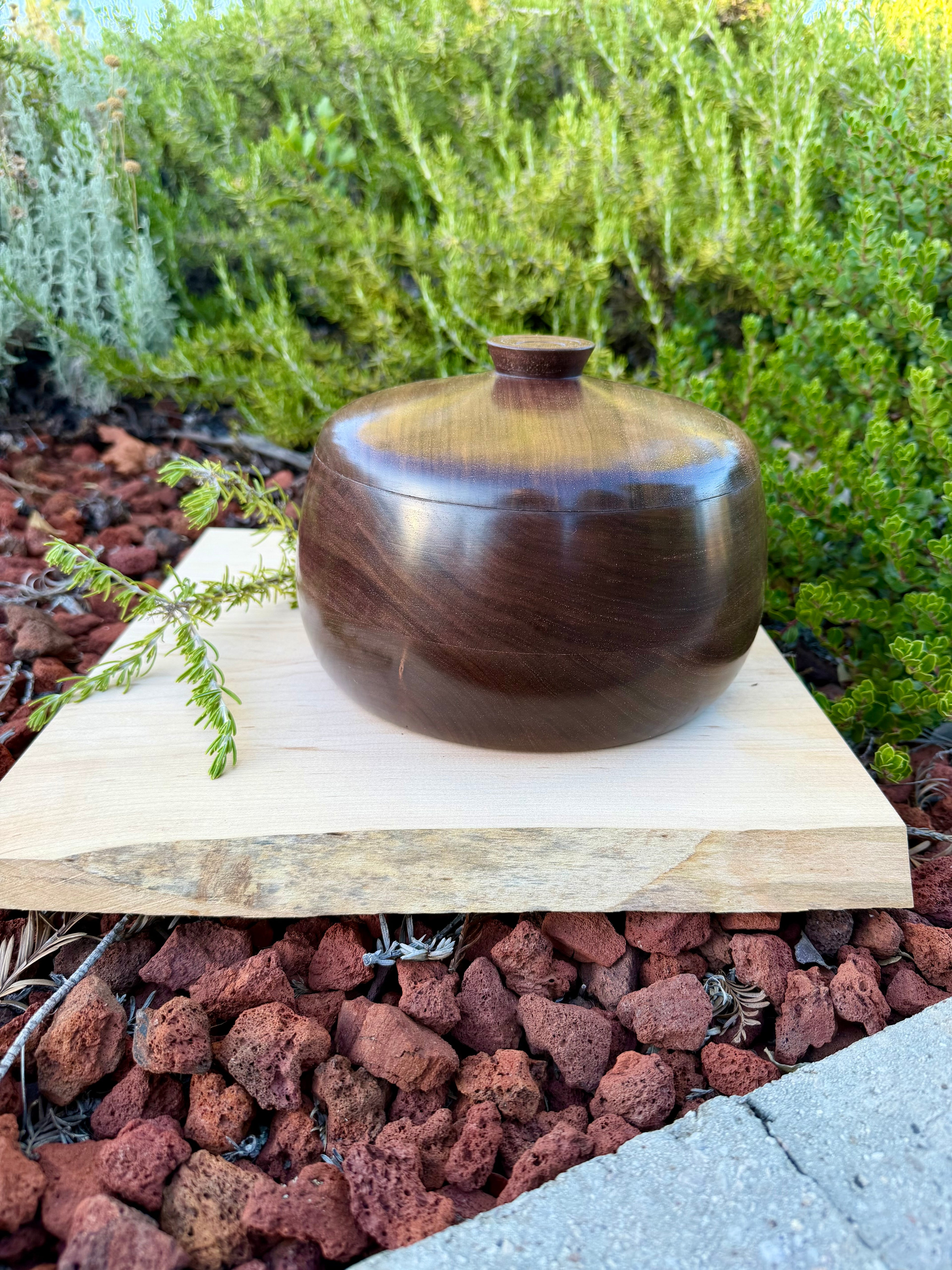 Black Walnut Lidded Bowl