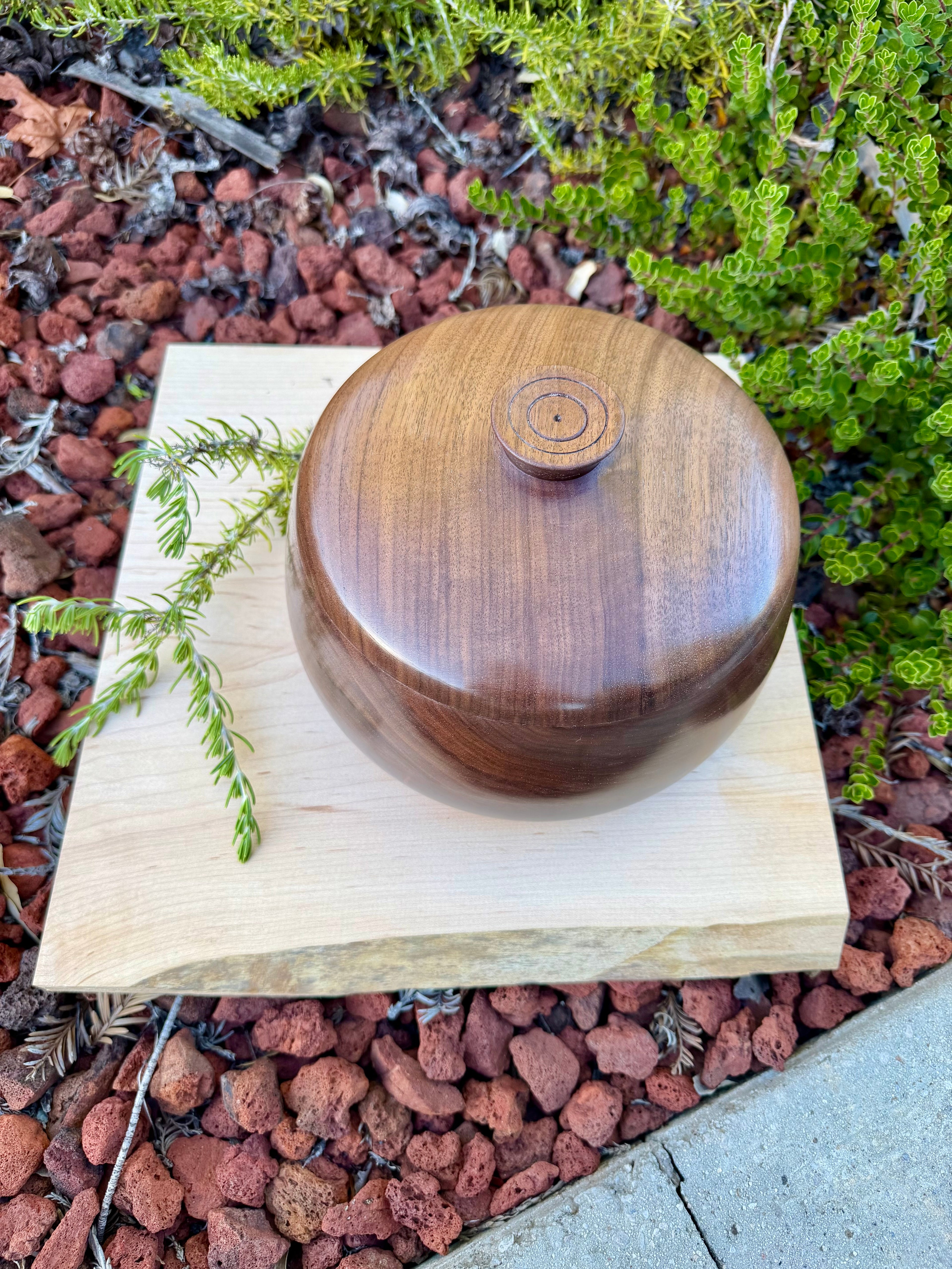 Black Walnut Lidded Bowl