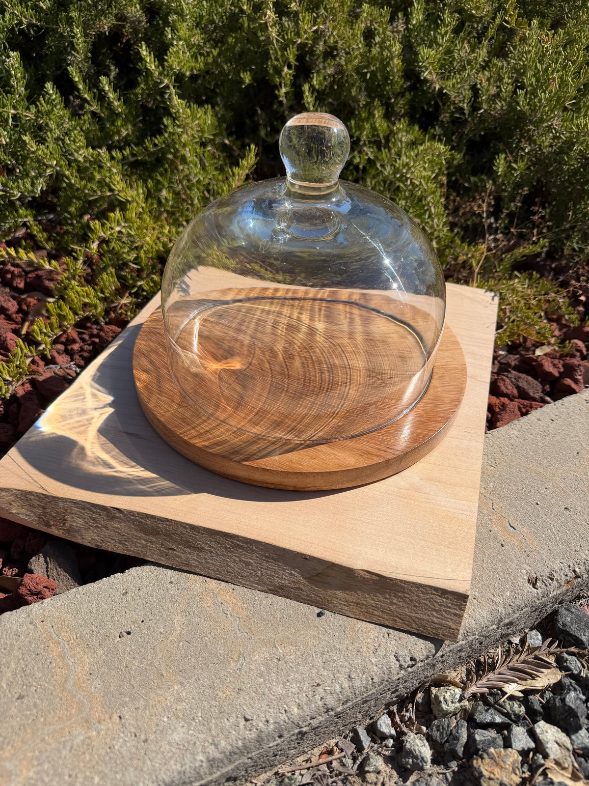 Handcrafted Parota Wood Cheese Board, Glass Dome & Spreader