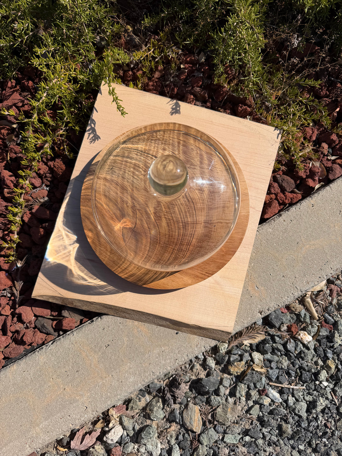 Handcrafted Parota Wood Cheese Board, Glass Dome & Spreader