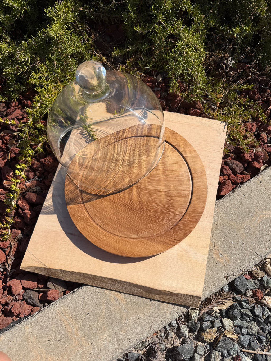 Handcrafted Parota Wood Cheese Board, Glass Dome & Spreader