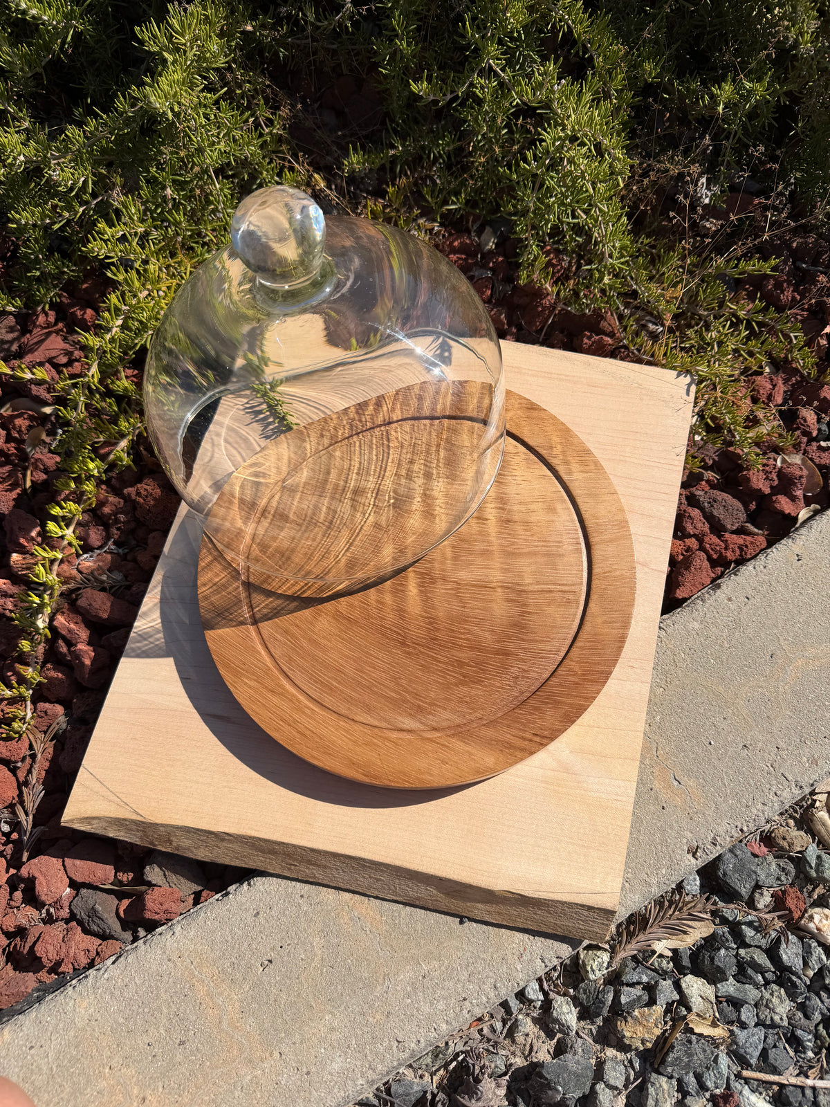 Handcrafted Parota Wood Cheese Board, Glass Dome & Spreader