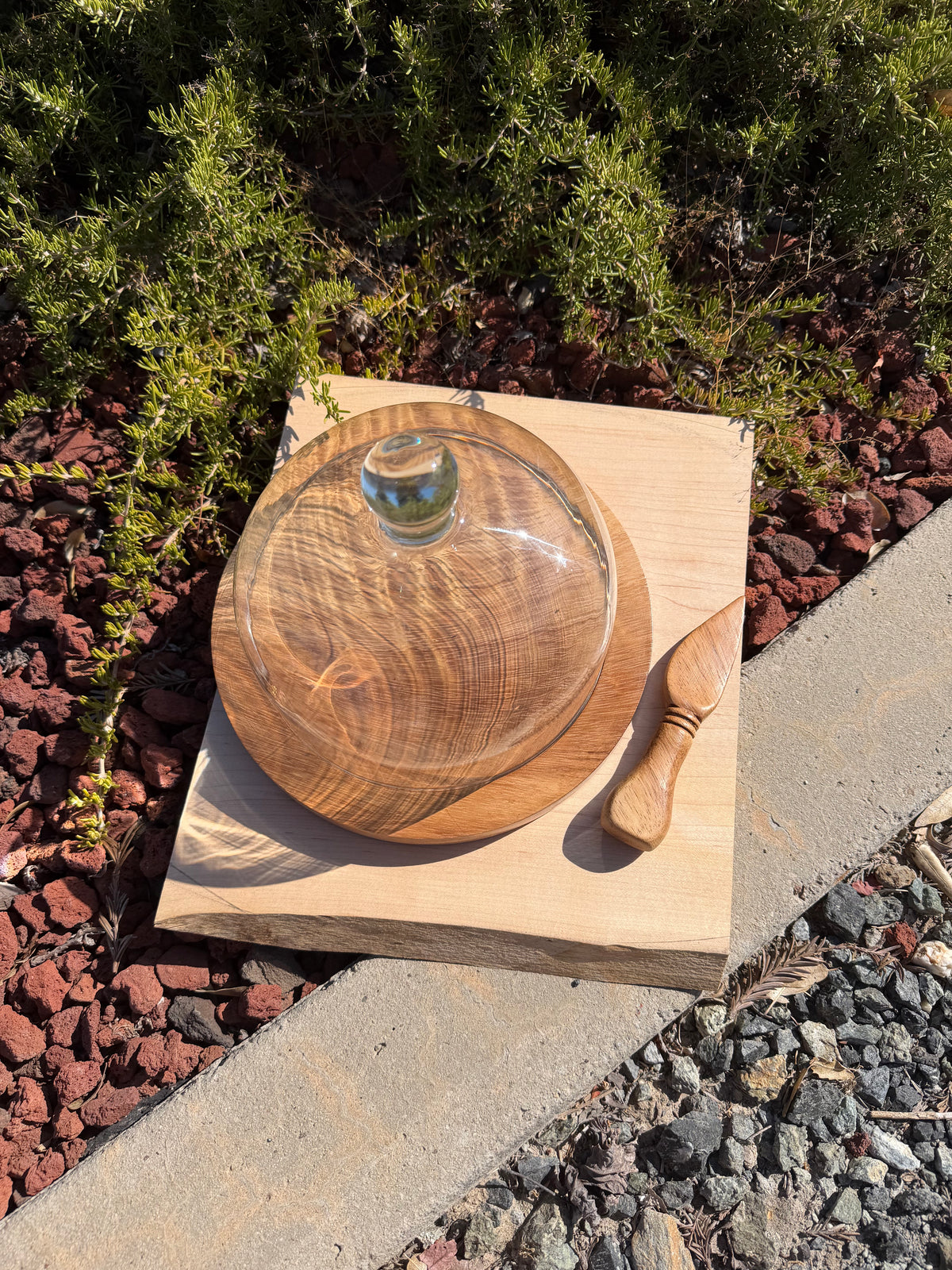 Handcrafted Parota Wood Cheese Board, Glass Dome & Spreader