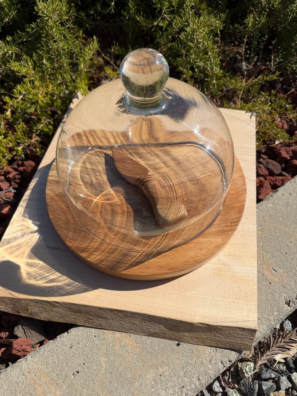 Handcrafted Parota Wood Cheese Board, Glass Dome & Spreader