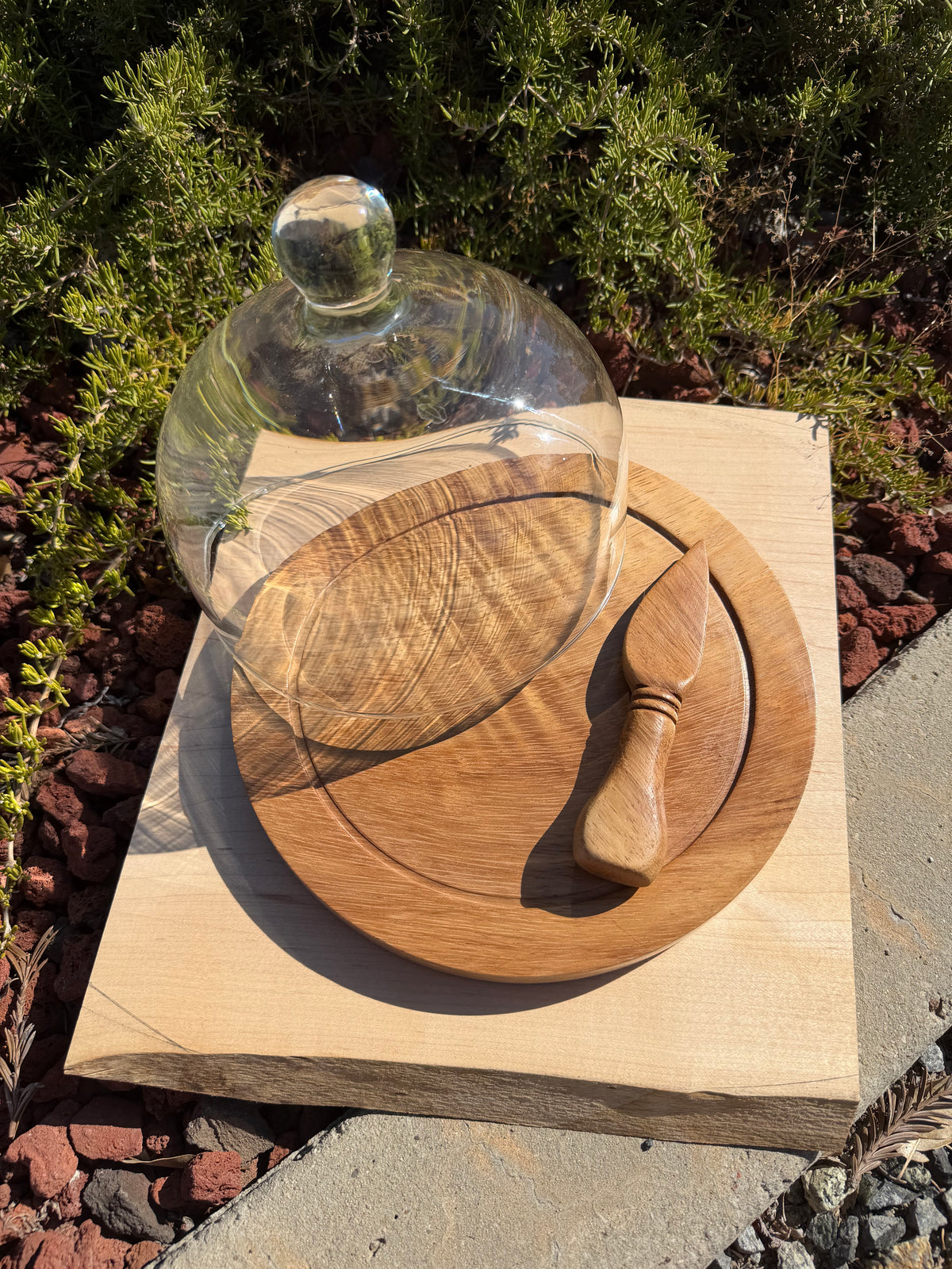 Handcrafted Parota Wood Cheese Board, Glass Dome & Spreader