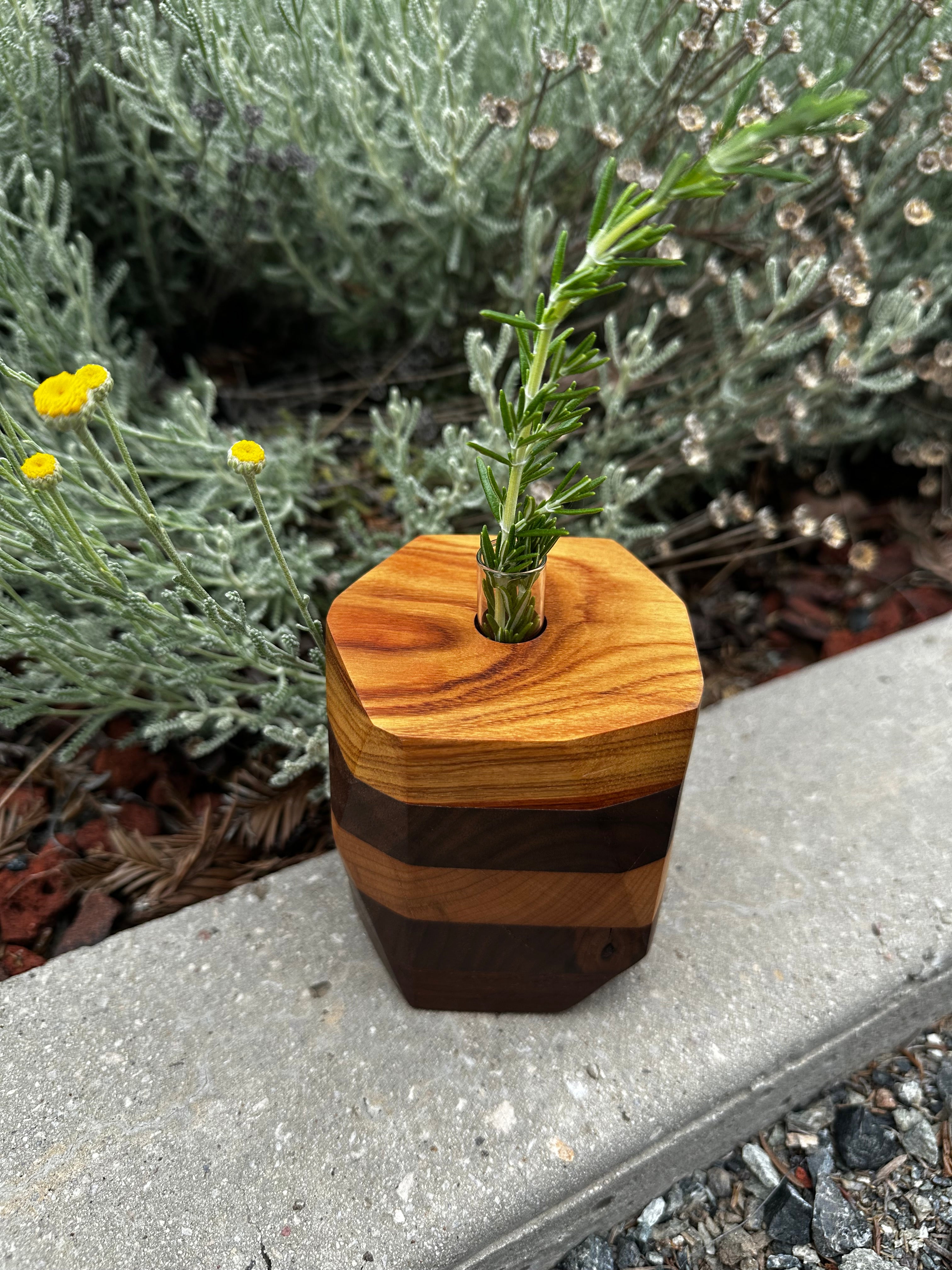 Wood Bud Vase or Propagation Station