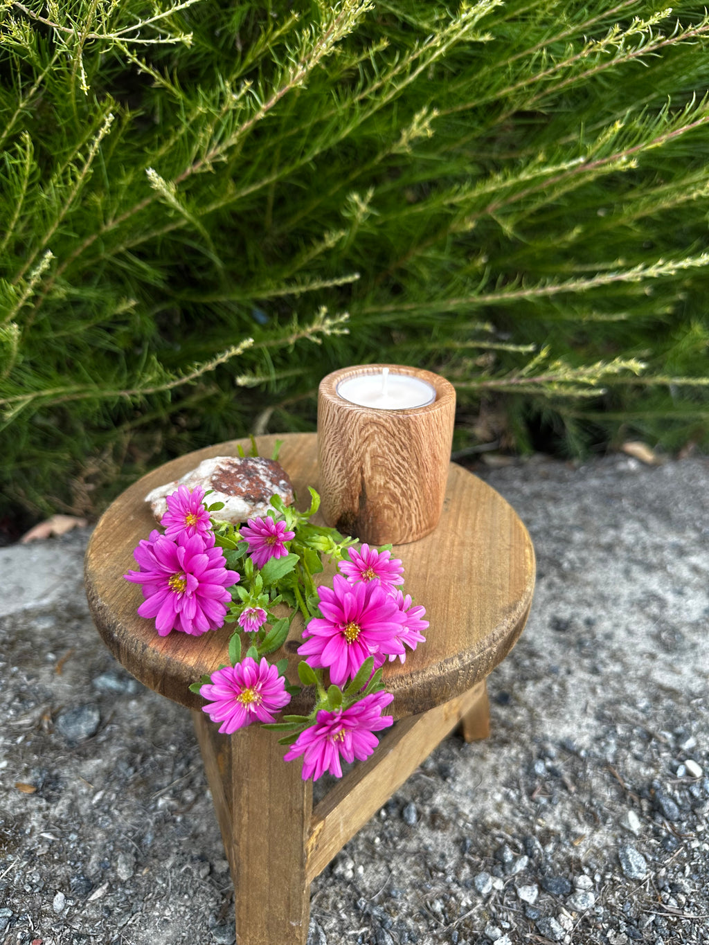 Black Oak Tea Light Candleholder