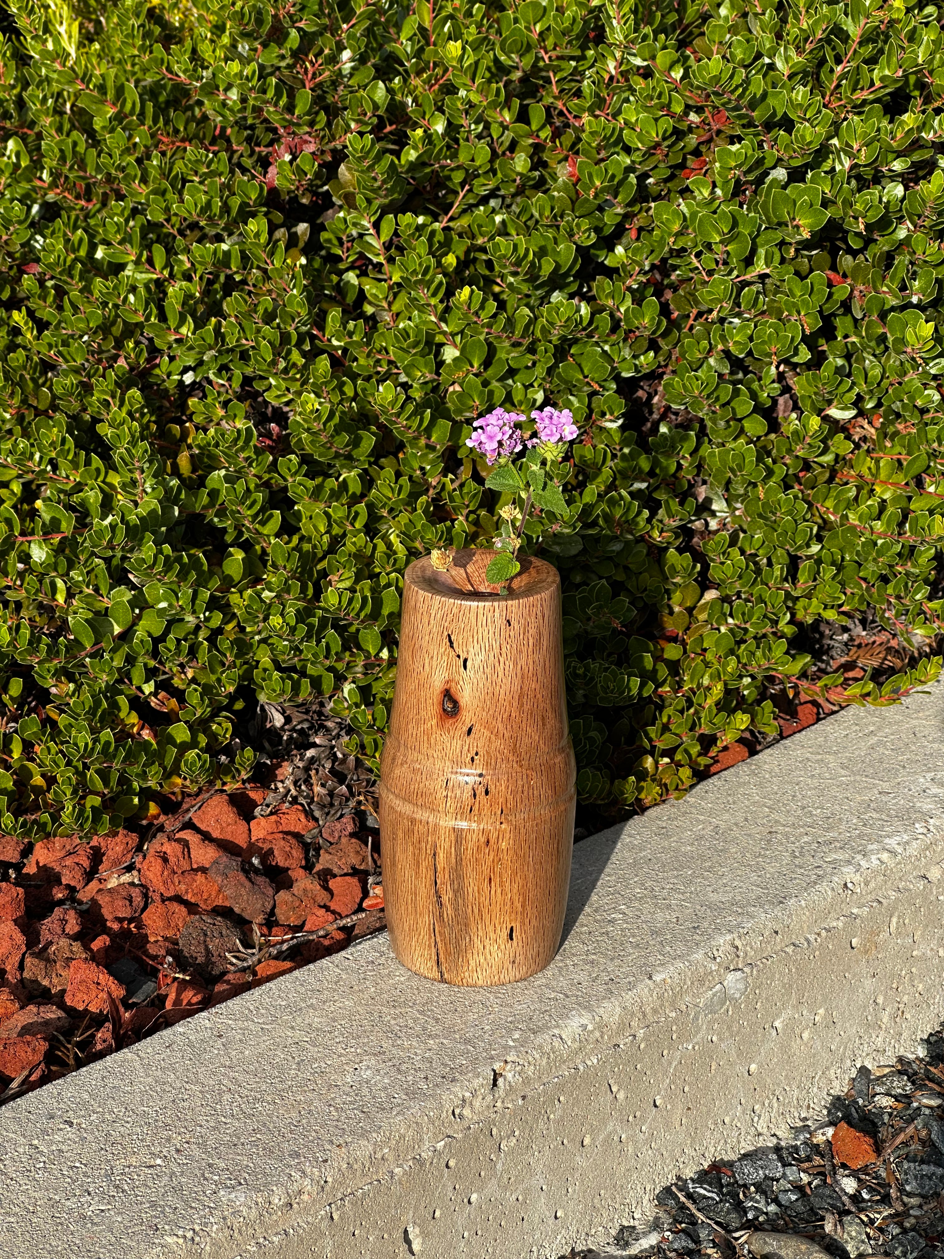 Rustic Elegance Black Oak Vase