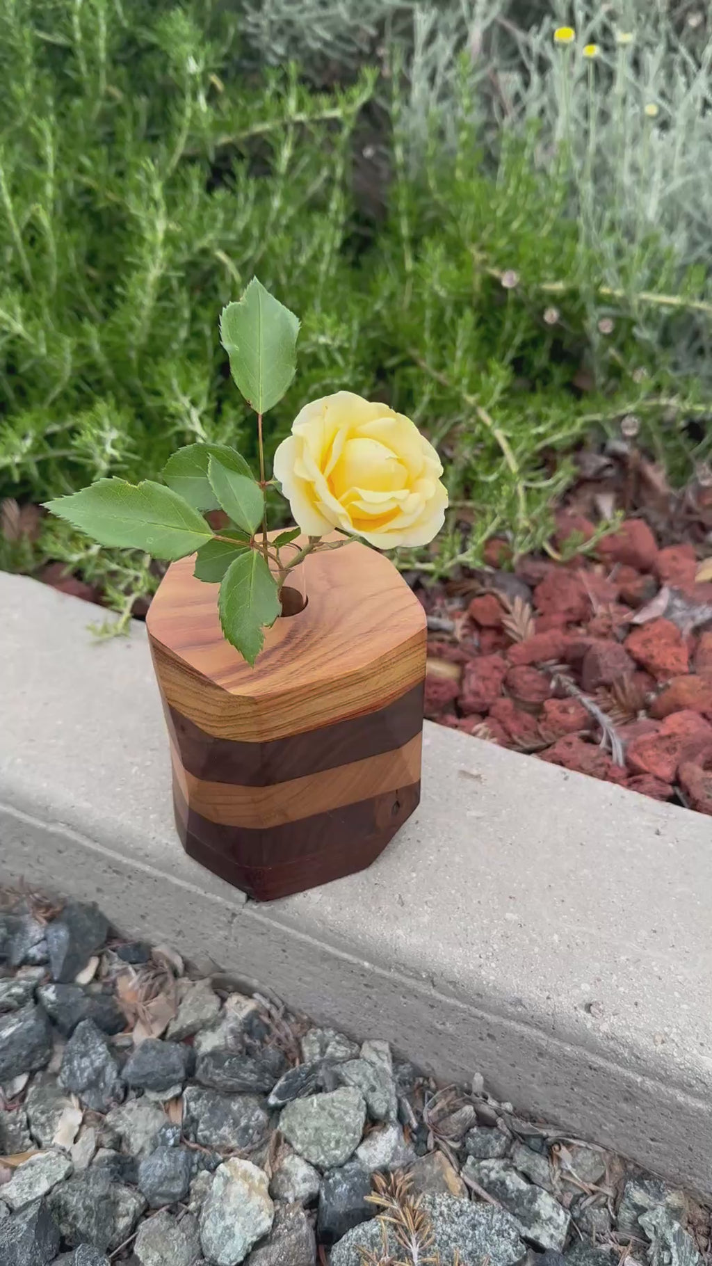 Wood Bud Vase or Propagation Station