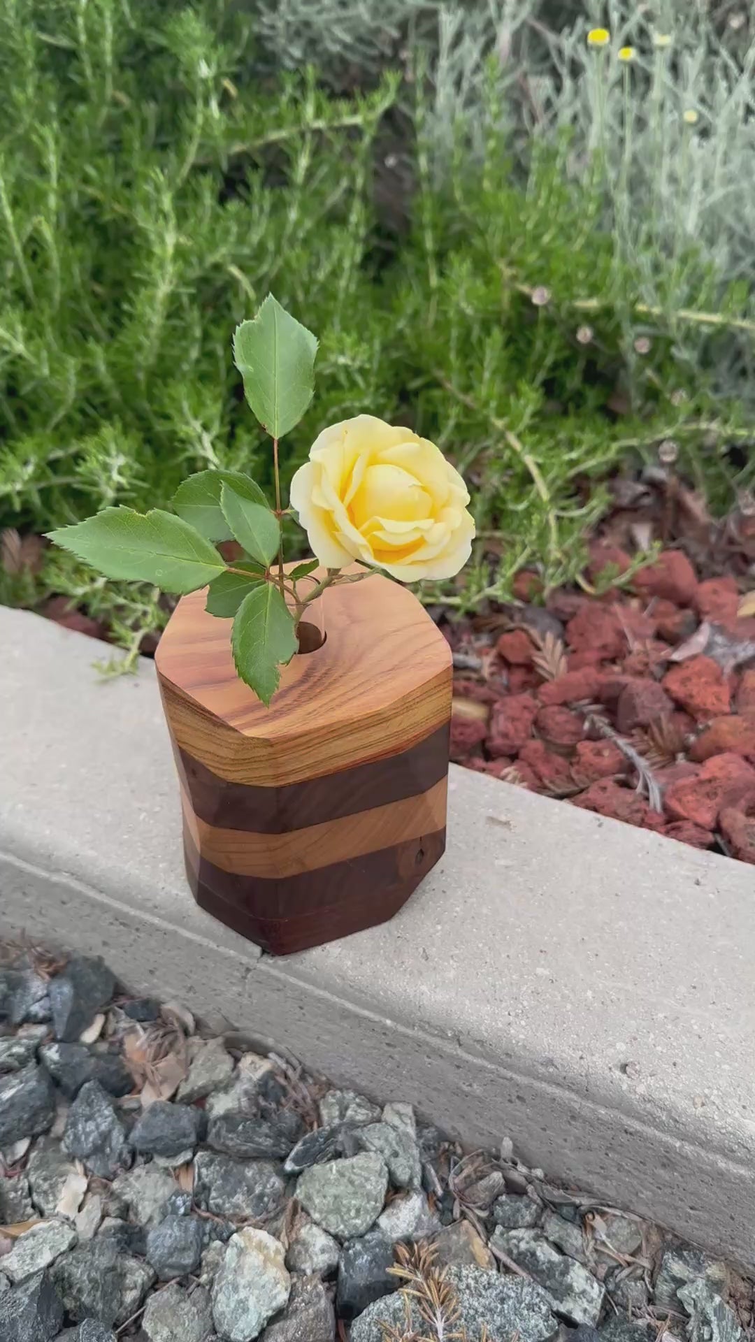 Wood Bud Vase or Propagation Station
